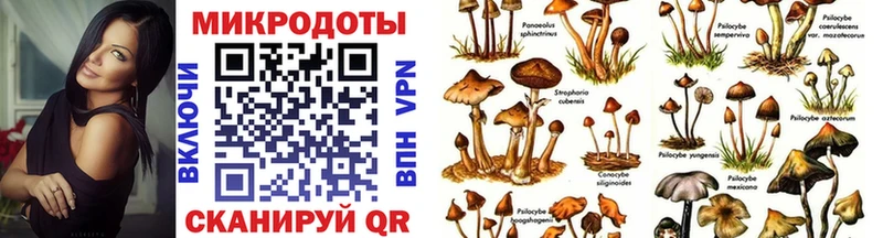 Псилоцибиновые грибы ЛСД  omg зеркало  Севастополь 