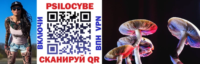 Псилоцибиновые грибы Psilocybine cubensis Севастополь