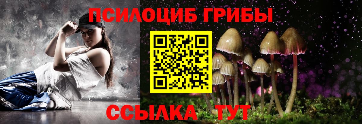 Псилоцибиновые грибы GOLDEN TEACHER  Вход с VPN  Псилоцибиновые грибы MAGIC MUSHROOMS  Севастополь 