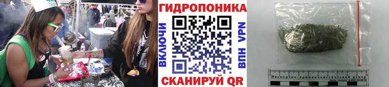 Бошки Шишки тримм  Севастополь 
